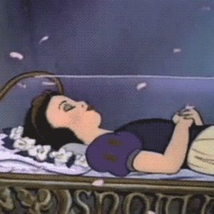 Meet your Posher, Zee